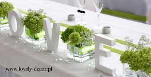 dekoracje weselne  sala w Izdebkach (1)                    